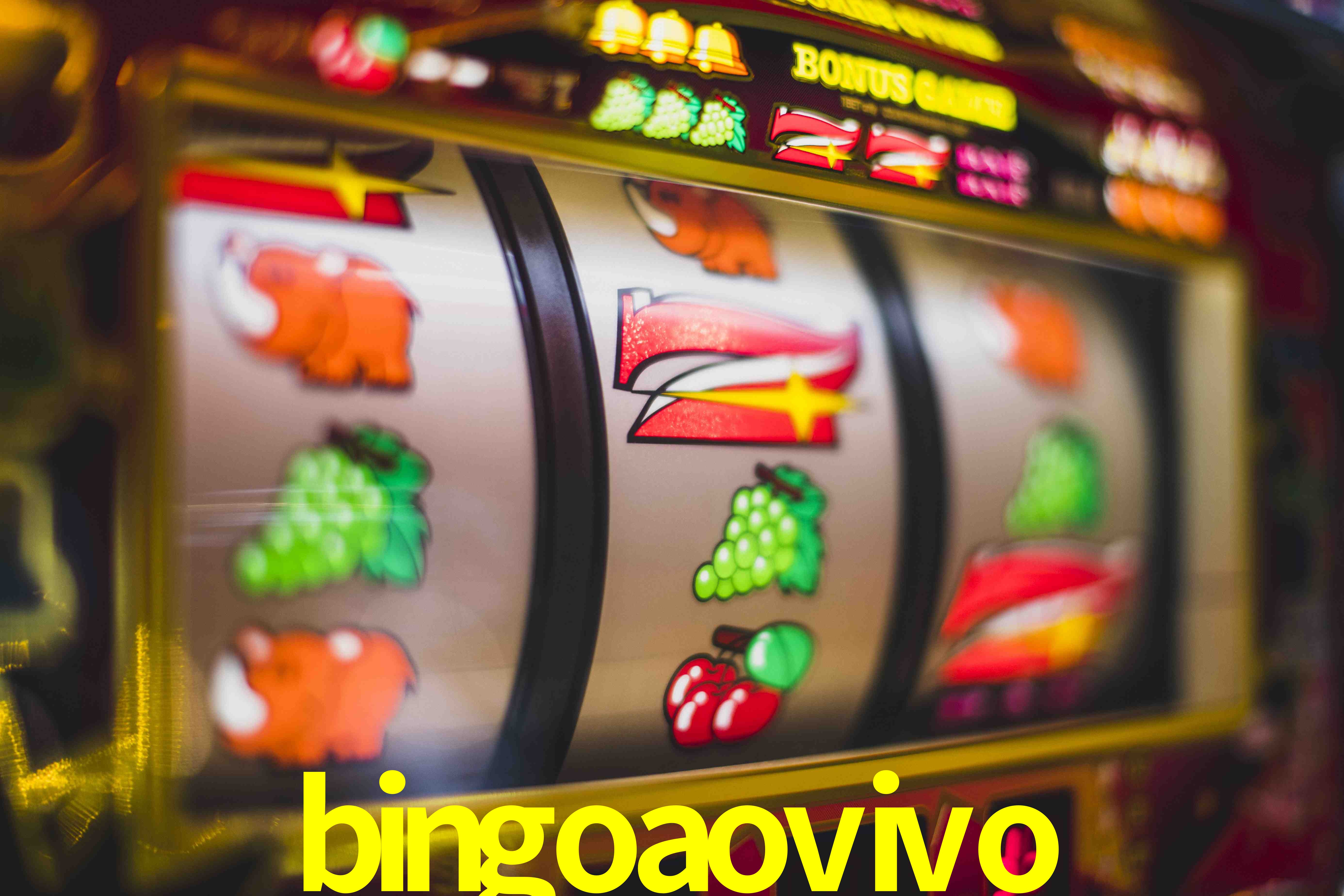 Statistics bingoaovivo