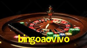 Experiência VIP bingoaovivo