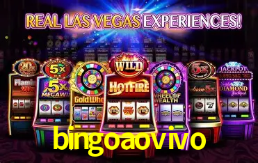 bingoaovivo Belo Horizonte - Reivindique Bonus