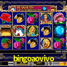 bingoaovivo Rio de Janeiro - Bonus Terms