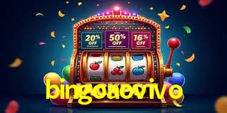 bingoaovivo - Rápido Acesse