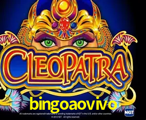 bingoaovivo Curitiba - Live Status
