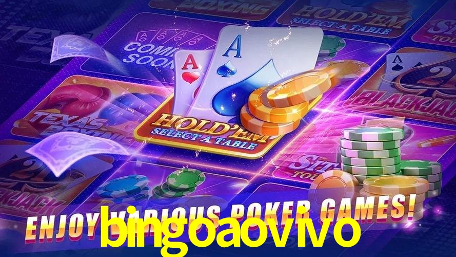 cassino bingoaovivo