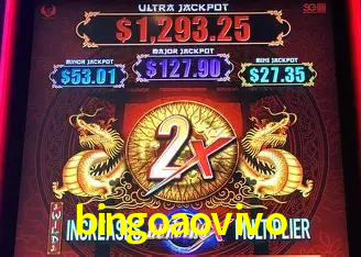 bingoaovivo Brasília - Casino Guide