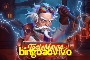 bingoaovivo Salvador - Statistics
