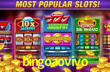 bingoaovivo Belo Horizonte - VIP Casino